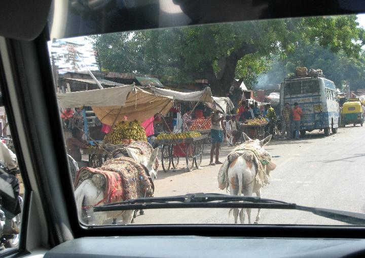 India_11Aug2007 167 